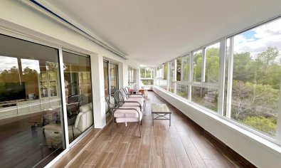 Bestaande bouw - Villa -
Pinar de Campoverde