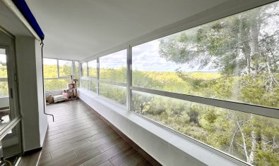 Bestaande bouw - Villa -
Pinar de Campoverde