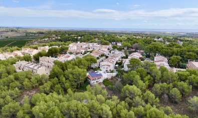 Bestaande bouw - Villa -
Pinar de Campoverde