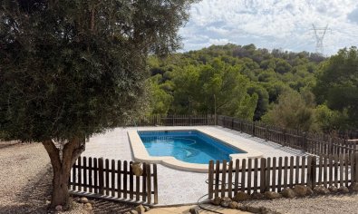 Bestaande bouw - Finca -
Torremendo
