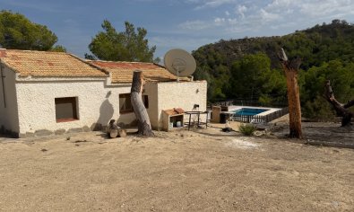 Bestaande bouw - Finca -
Torremendo