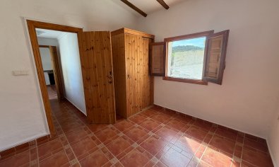 Bestaande bouw - Finca -
Torremendo