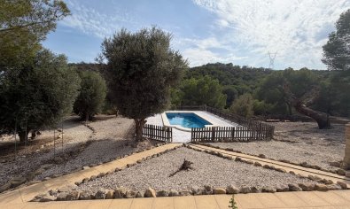 Bestaande bouw - Finca -
Torremendo