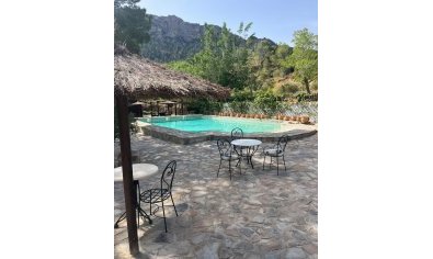 Reventa - Finca -
Gea Y Truyols