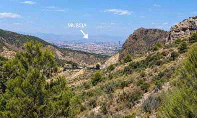 Reventa - Finca -
Gea Y Truyols