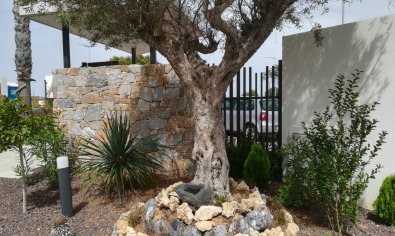 Nieuwbouw Woningen - Bungalow -Solarium -
Torrevieja