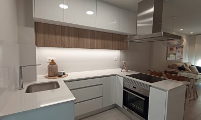 Obra nueva - Piso - Planta baja -
Mil Palmeras