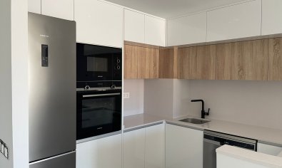 Obra nueva - Bungalow - Solarium -
Mil Palmeras
