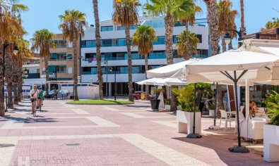 Reventa - Apartamento / piso -
San Pedro del Pinatar - Lo Pagan