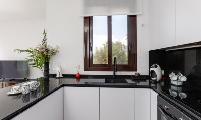 Nieuwbouw Woningen - Villa -
Finestrat