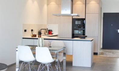 Reventa - Villa -
Algorfa