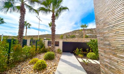 Reventa - Villa -
Algorfa