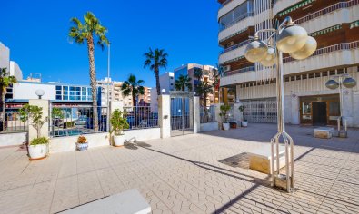 Reventa - Apartamento / piso -
Torrevieja - Playa del Acequión