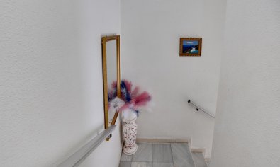Reventa - Bungalow -
Torrevieja - Playa del Acequión