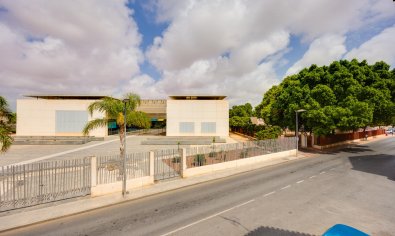 Reventa - Bungalow -
Torrevieja - Playa del Acequión