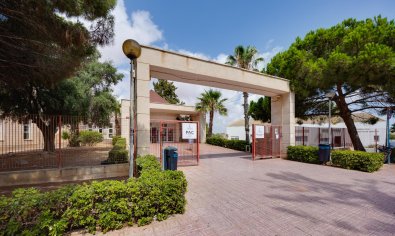 Reventa - Bungalow -
Torrevieja - Playa del Acequión