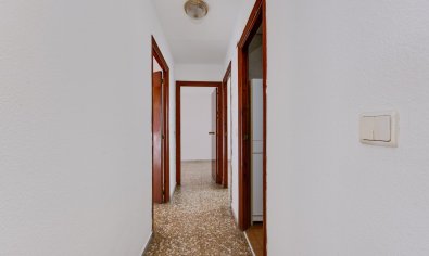 Reventa - Apartamento / piso -
Torrevieja - Playa del Acequión