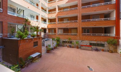 Reventa - Apartamento / piso -
Torrevieja - Playa del Acequión