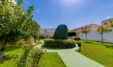 Reventa - Ático -
Torrevieja - Playa del Acequión