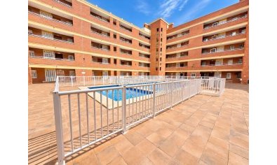Reventa - Apartamento / piso -
Torrevieja - playa de los naufragos