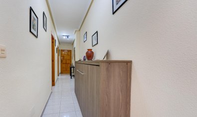 Bestaande bouw - Appartement -
Torrevieja - Playa del Cura