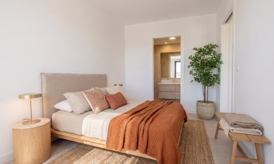 Obra nueva - Bungalow - Solarium -
San Fulgencio