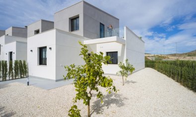 Obra nueva - Town House -
Baños y Mendigo - Altaona Golf And Country Village