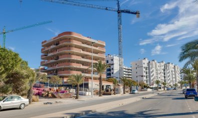 Obra nueva - Apartamento / piso -
Arenales del Sol - Arenales Del Sol