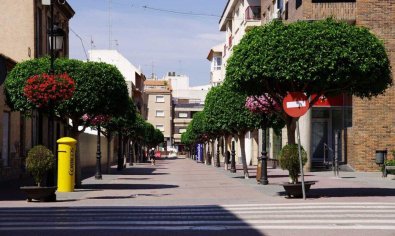 Obra nueva - Villa -
Torre Pacheco - Torre-pacheco