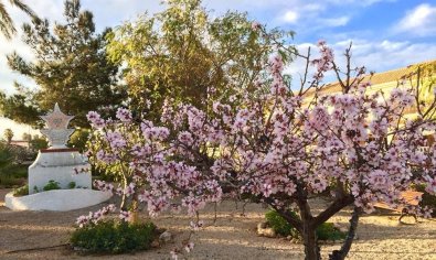 Nieuwbouw Woningen - Villa -
Los Urrutias - Estrella De Mar