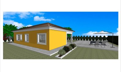 Obra nueva - Villa -
Pinoso - Lel