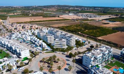 Nieuwbouw Woningen - Appartement -
Guardamar del Segura - El Raso