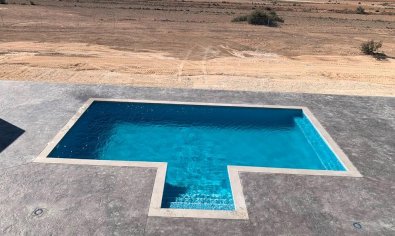 Obra nueva - Villa -
Pinoso - Camino Del Prado