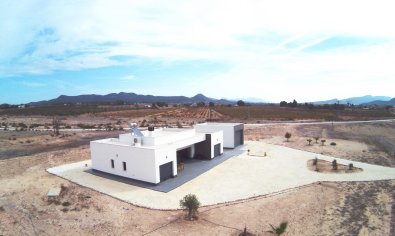 Obra nueva - Villa -
Pinoso - Camino Del Prado