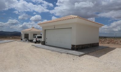 Obra nueva - Villa -
Pinoso - Camino Del Prado