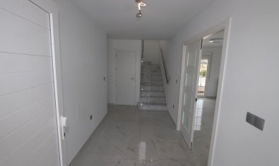 Obra nueva - Villa -
Pinoso - Camino Del Prado