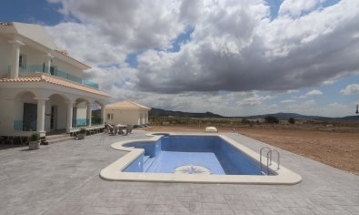 Obra nueva - Villa -
Pinoso - Camino Del Prado