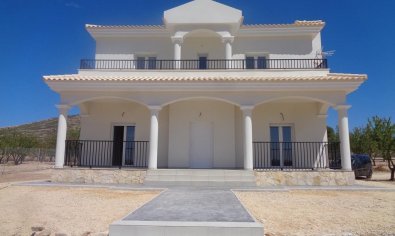 Obra nueva - Villa -
Pinoso - Camino Del Prado