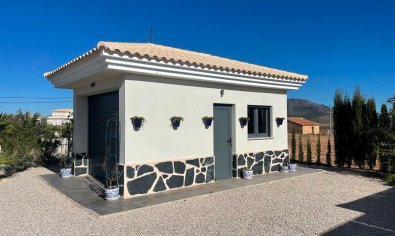 Obra nueva - Villa -
Pinoso - Camino Del Prado