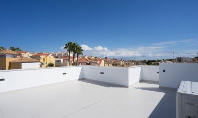 Obra nueva - Villa -
San Miguel de Salinas - El Galán