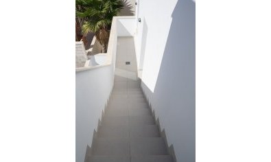 Obra nueva - Villa -
San Miguel de Salinas - El Galán