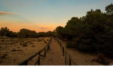 Obra nueva - Villa -
San Fulgencio - La Marina / El Pinet