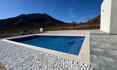 Obra nueva - Villa -
Abanilla - Cañada de la Leña