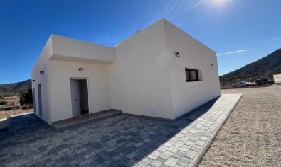 Obra nueva - Villa -
Abanilla - Cañada de la Leña