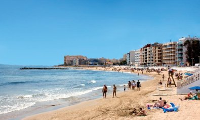 Obra nueva - Ático -
Torrevieja - Habaneras