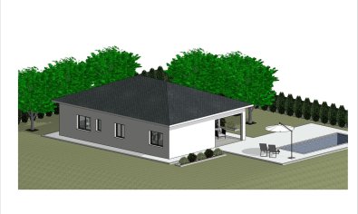 Obra nueva - Villa -
Pinoso - Lel