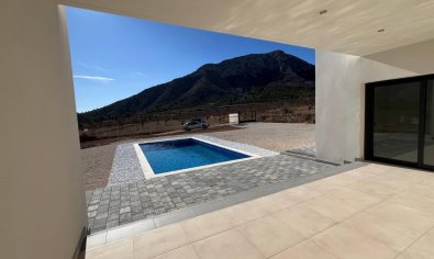 Obra nueva - Villa -
Jumilla - Torre del Rico