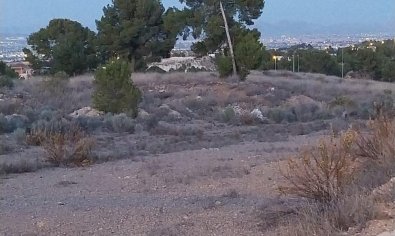 Obra nueva - Villa -
Sangonera la Verde - Torre Guil