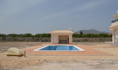 Obra nueva - Villa -
Pinoso - Camino Del Prado