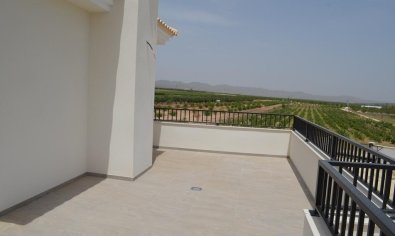 Nieuwbouw Woningen - Villa -
Pinoso - Camino Del Prado